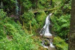 11 Natur pur - Lotenbachklamm Schwarzwald